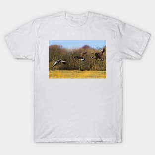 Geese in flight T-Shirt